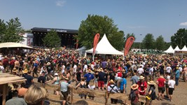 Woodstock (4)